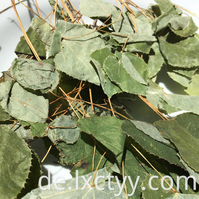 epimedium sagittatum extract tea